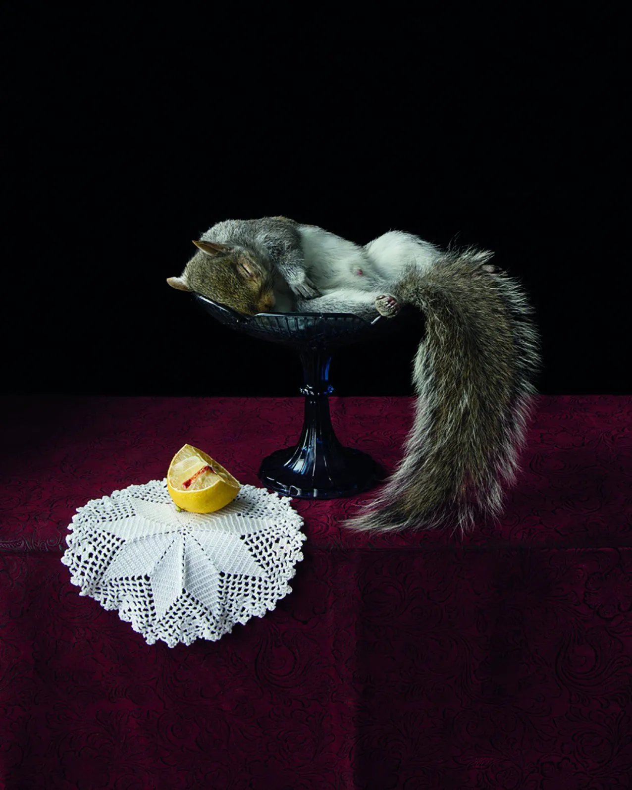 Poets of resurrection: the new art of taxidermy