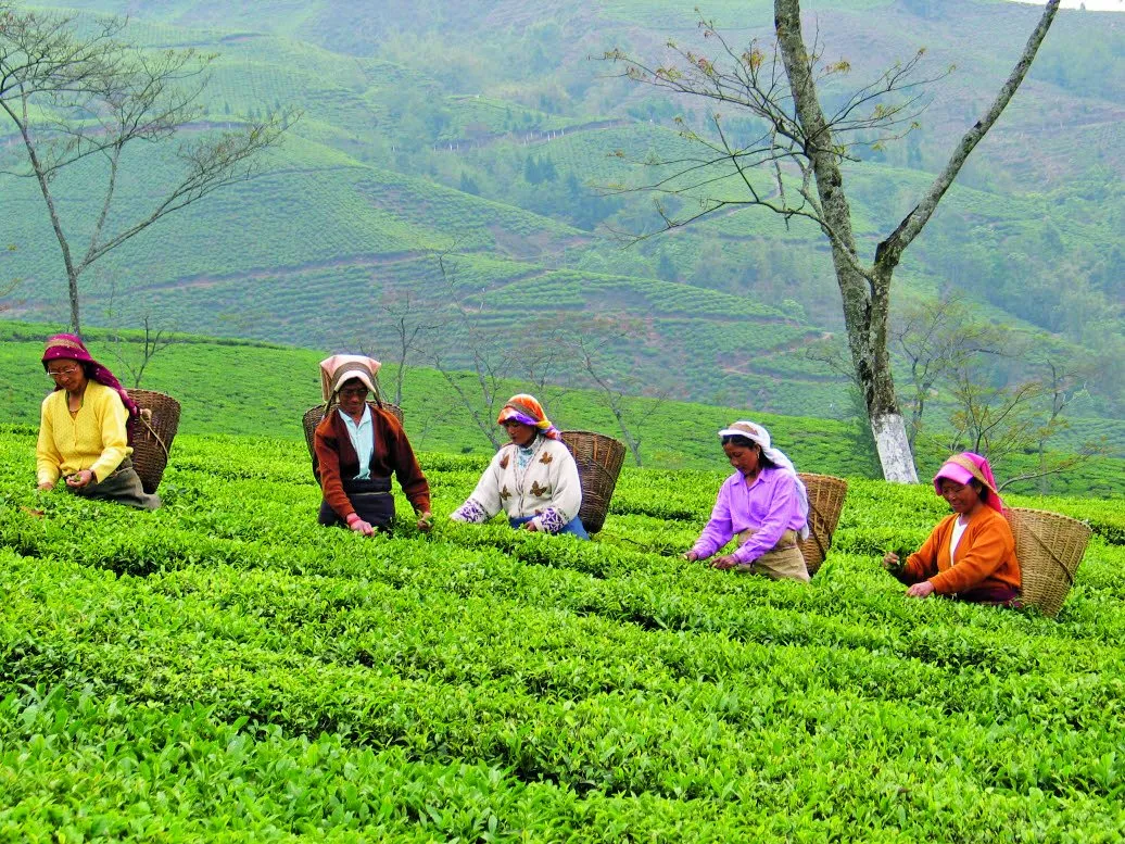 Things That Make India Great