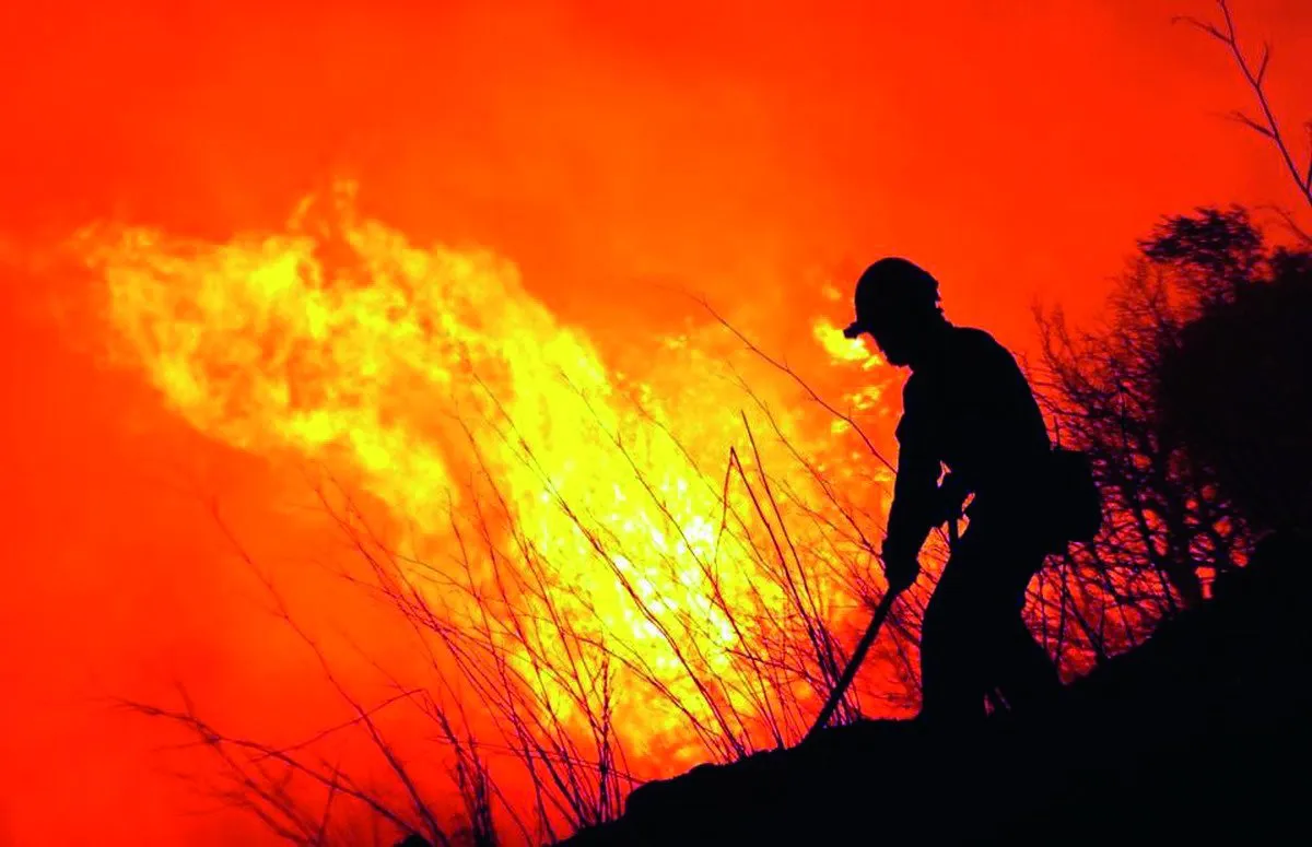 What's Heating Up: Freak Weather