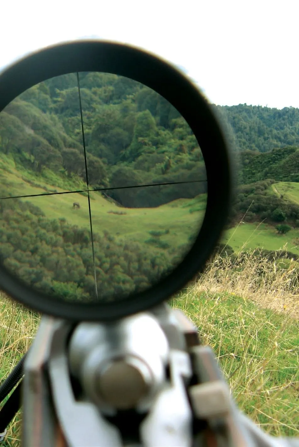 Is Hunting a Kickass Conservation Science?