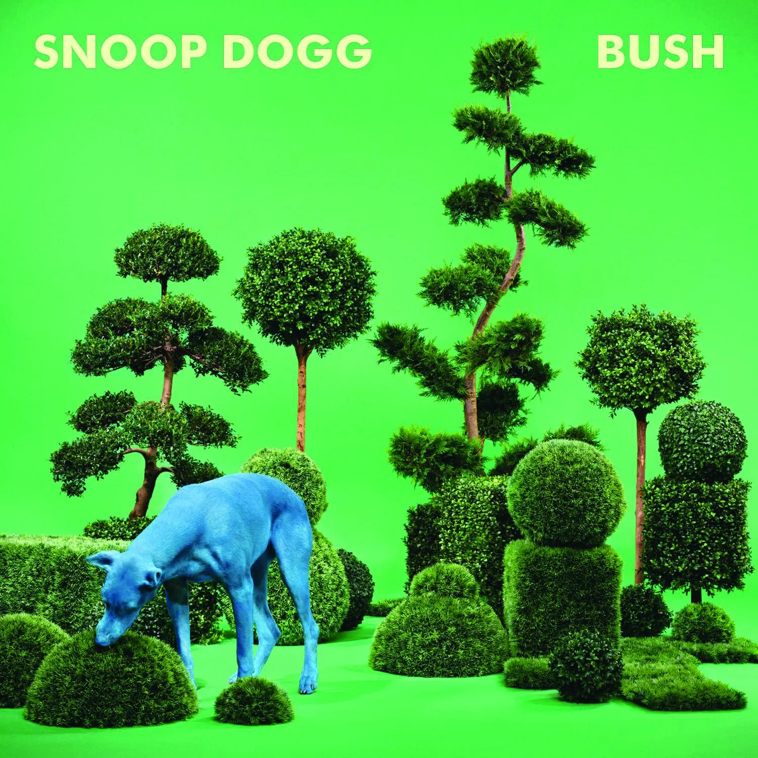 Music reviews: Brian Wilson, Mumford & Sons, Snoop Dogg and more