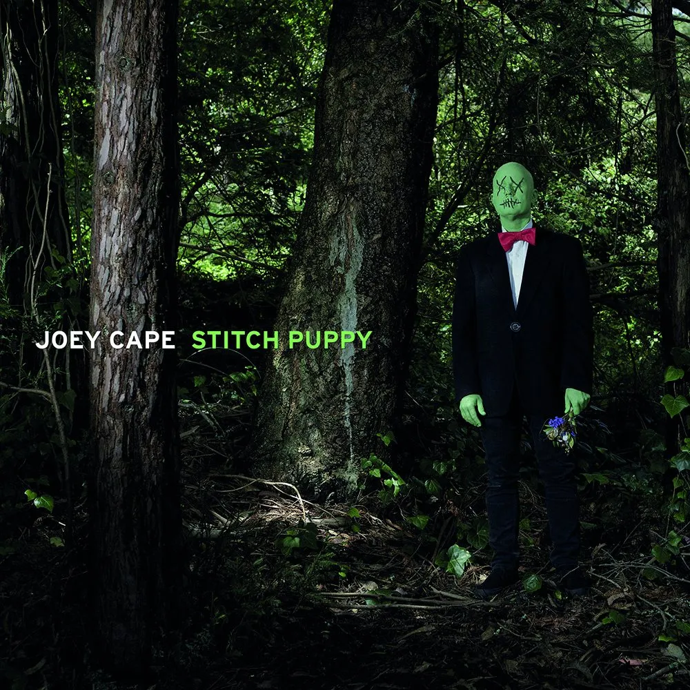Rock n roll with… the top albums of the month