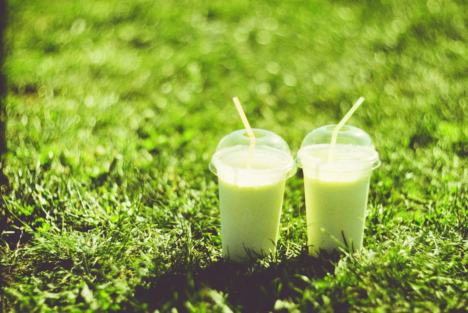 Shake and Make It: Eight Milkshakes to Blend at Home