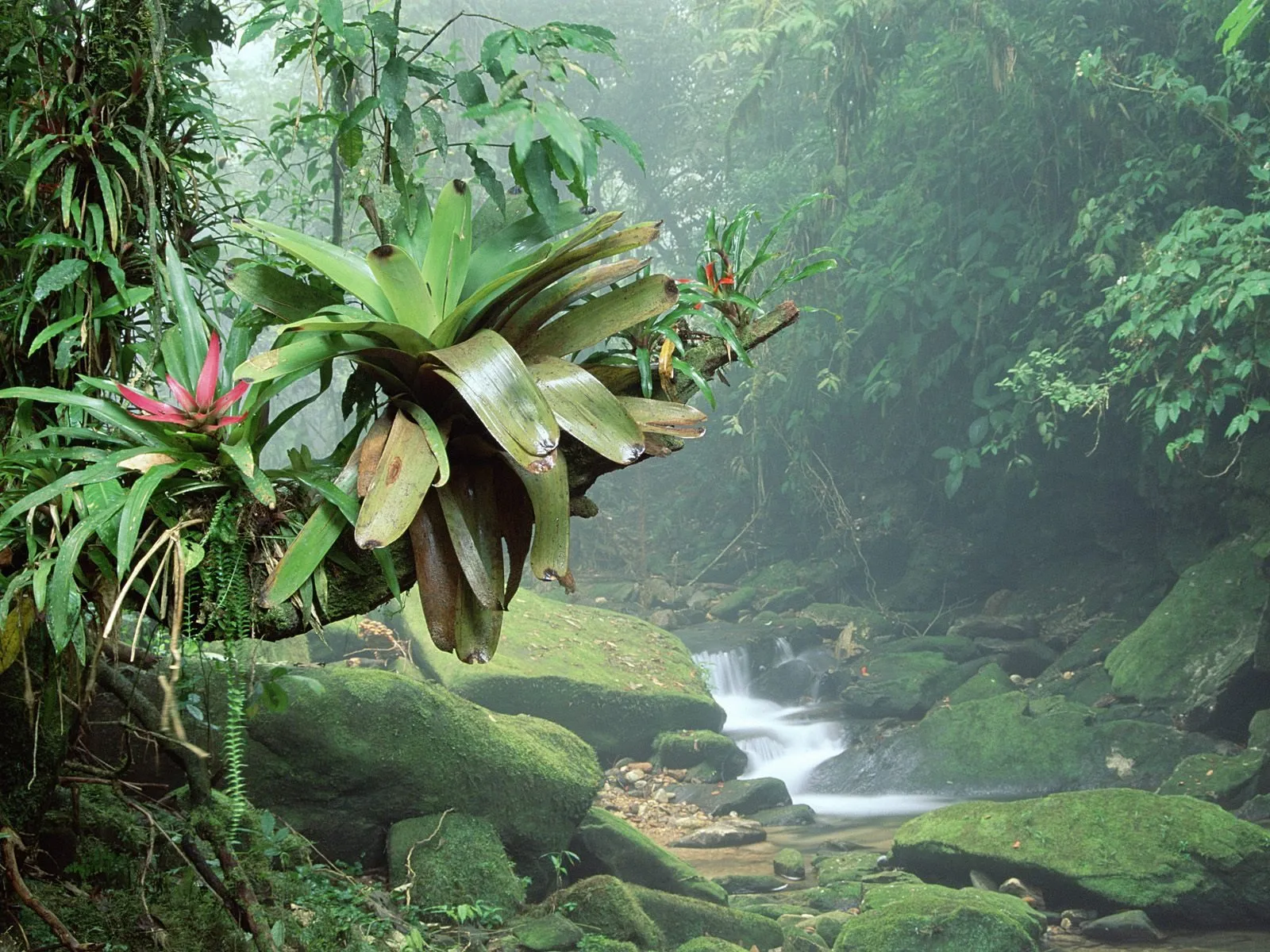 9 Places To See Before They Die