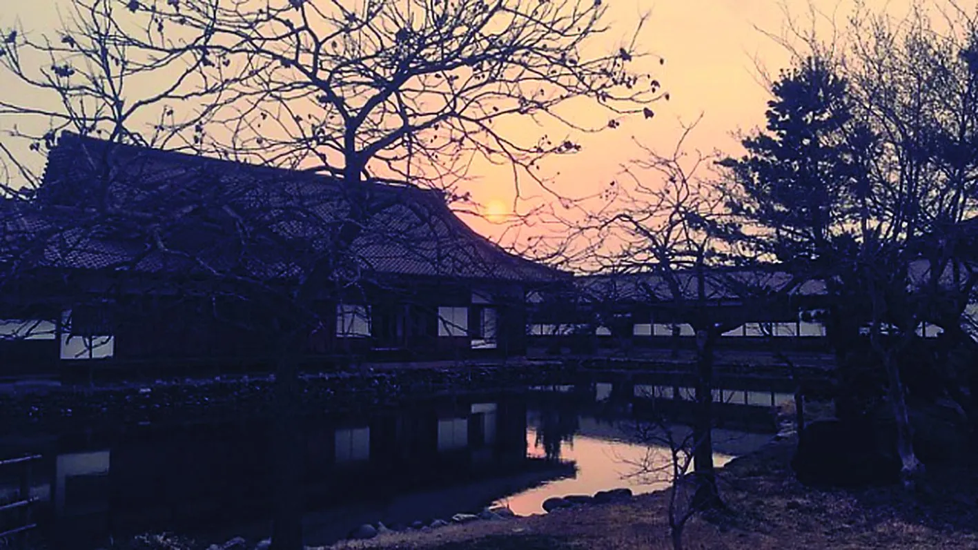 Reaching Zen Nation