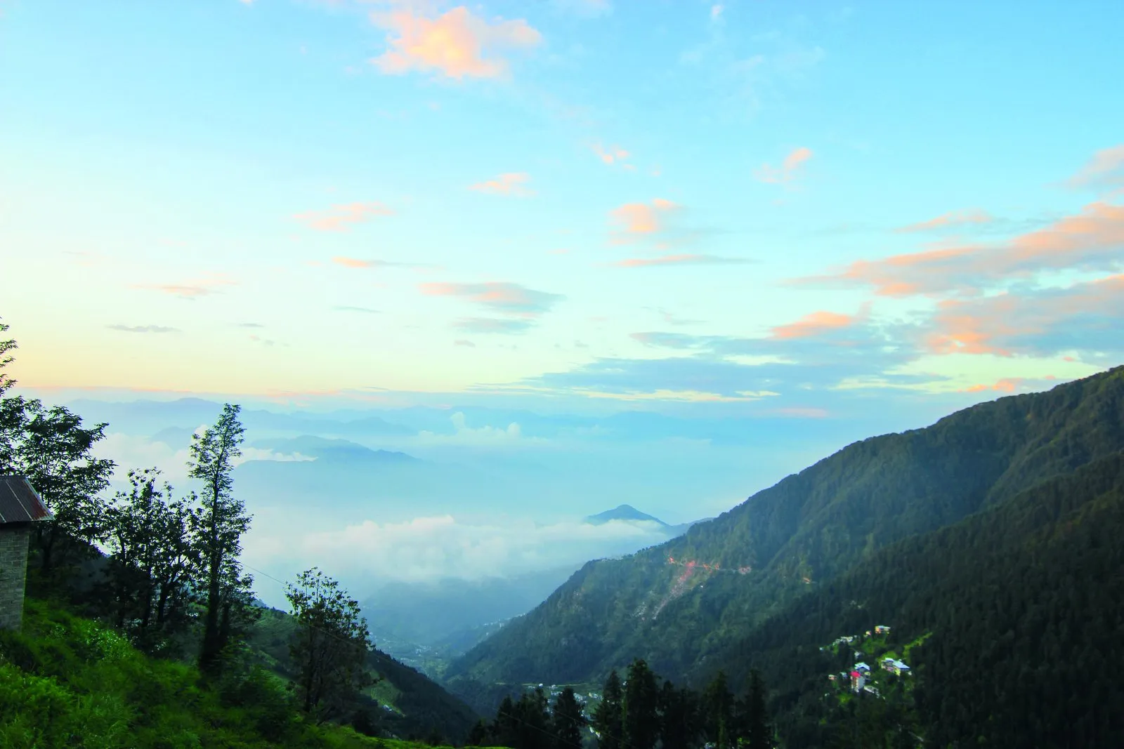 Gallivanting gorillas: Dalhousie