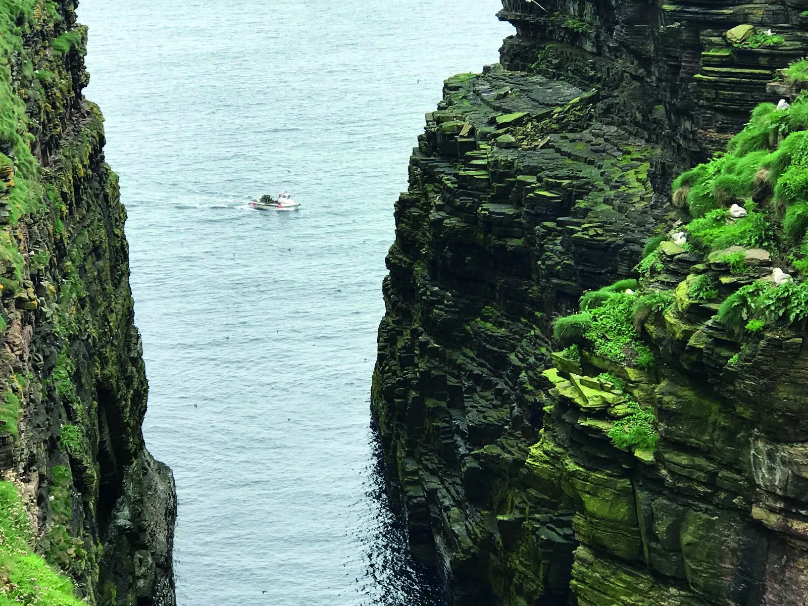 Rocks Without The Scotch