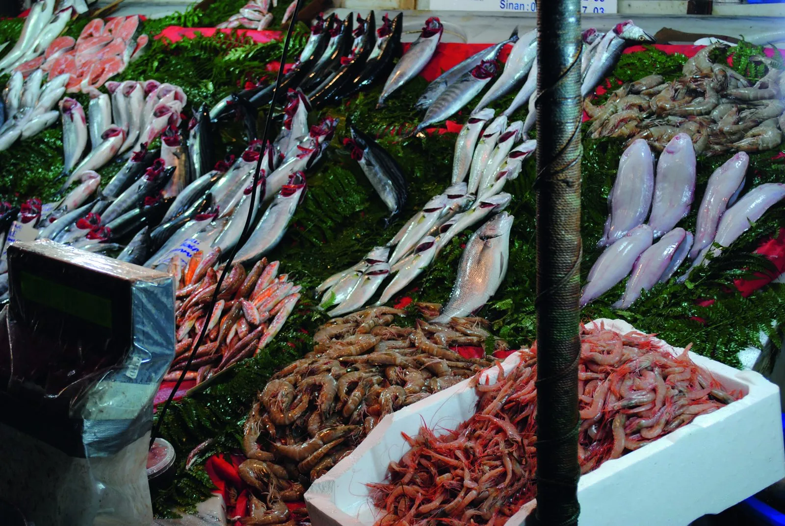 Things You Must Ask the Butcher