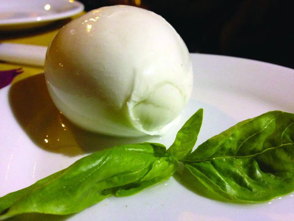 Cheese Your Way Through: The FHM Cheat Sheet
