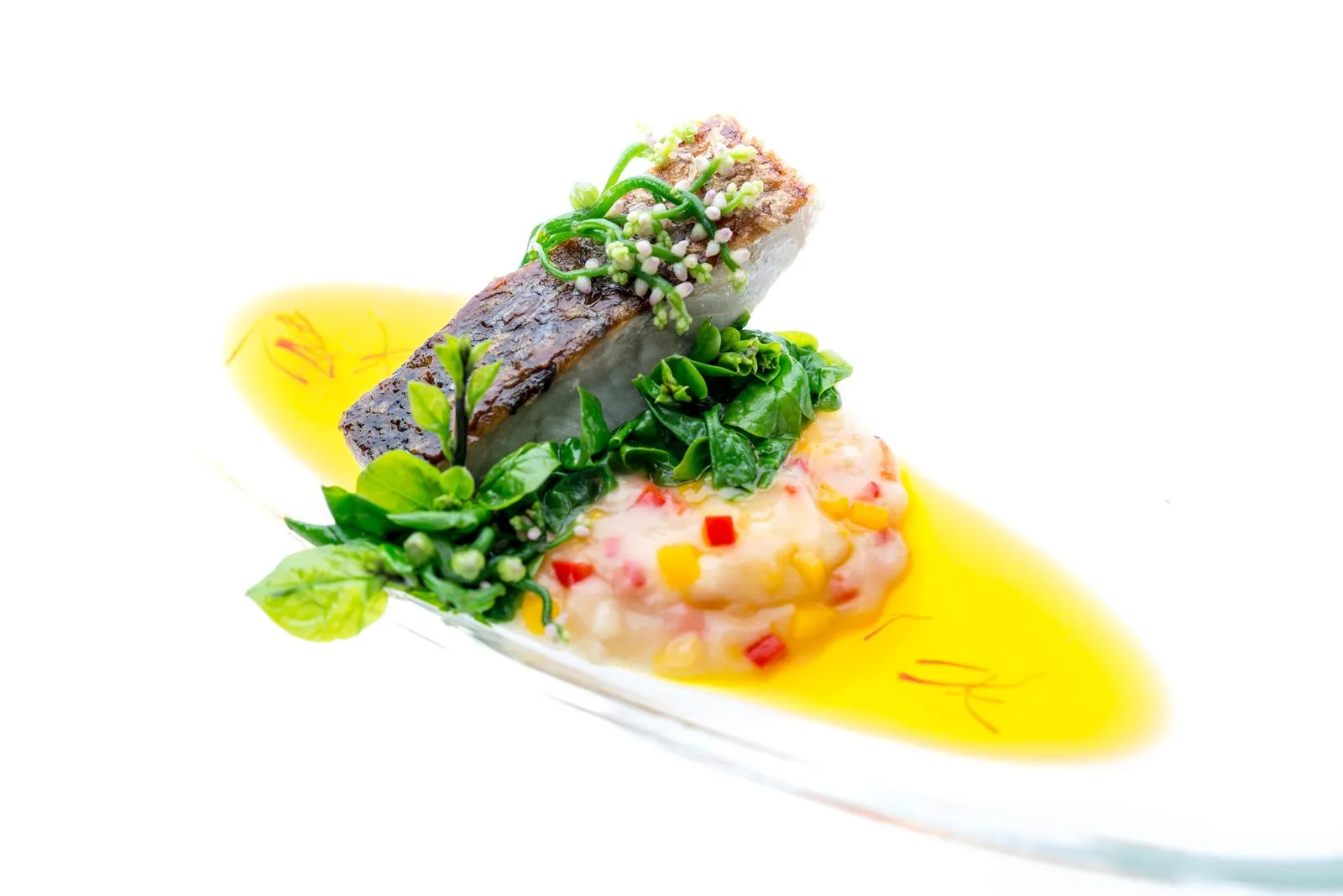 Pan-fried Barramundi with Celeriac Puree and Saffron Broth
