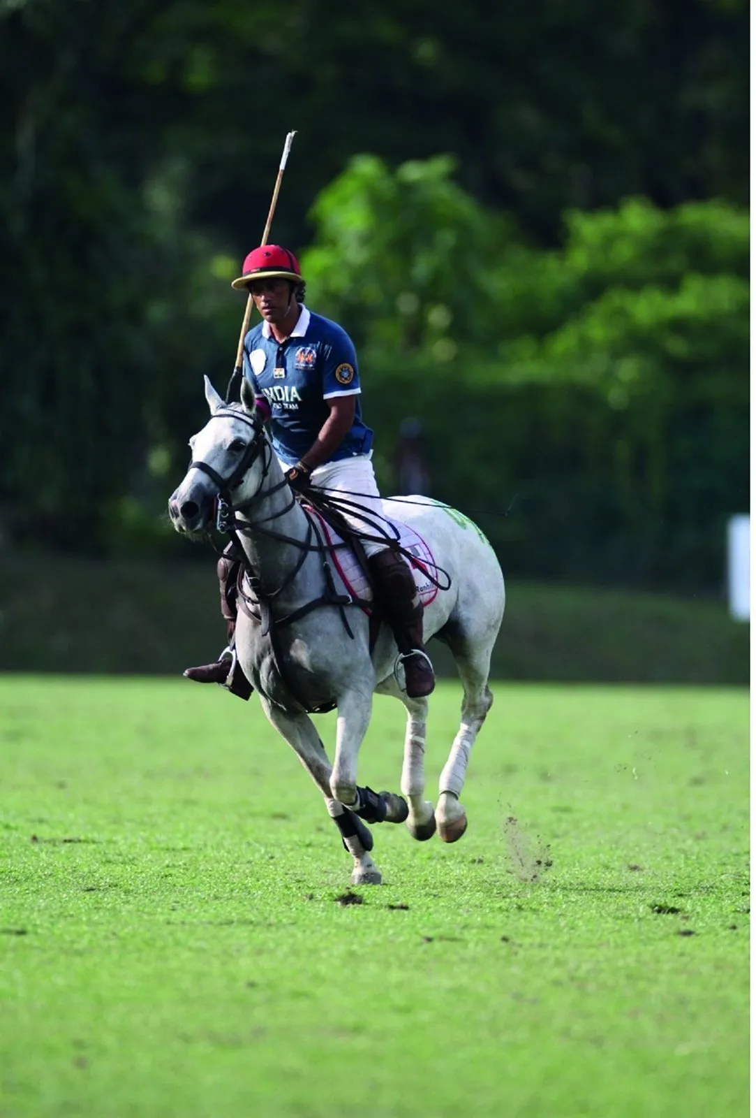 The horse whisperer: polo captain Samir Suhag