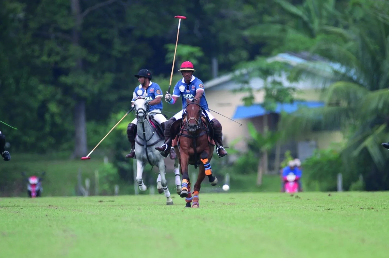 The horse whisperer: polo captain Samir Suhag