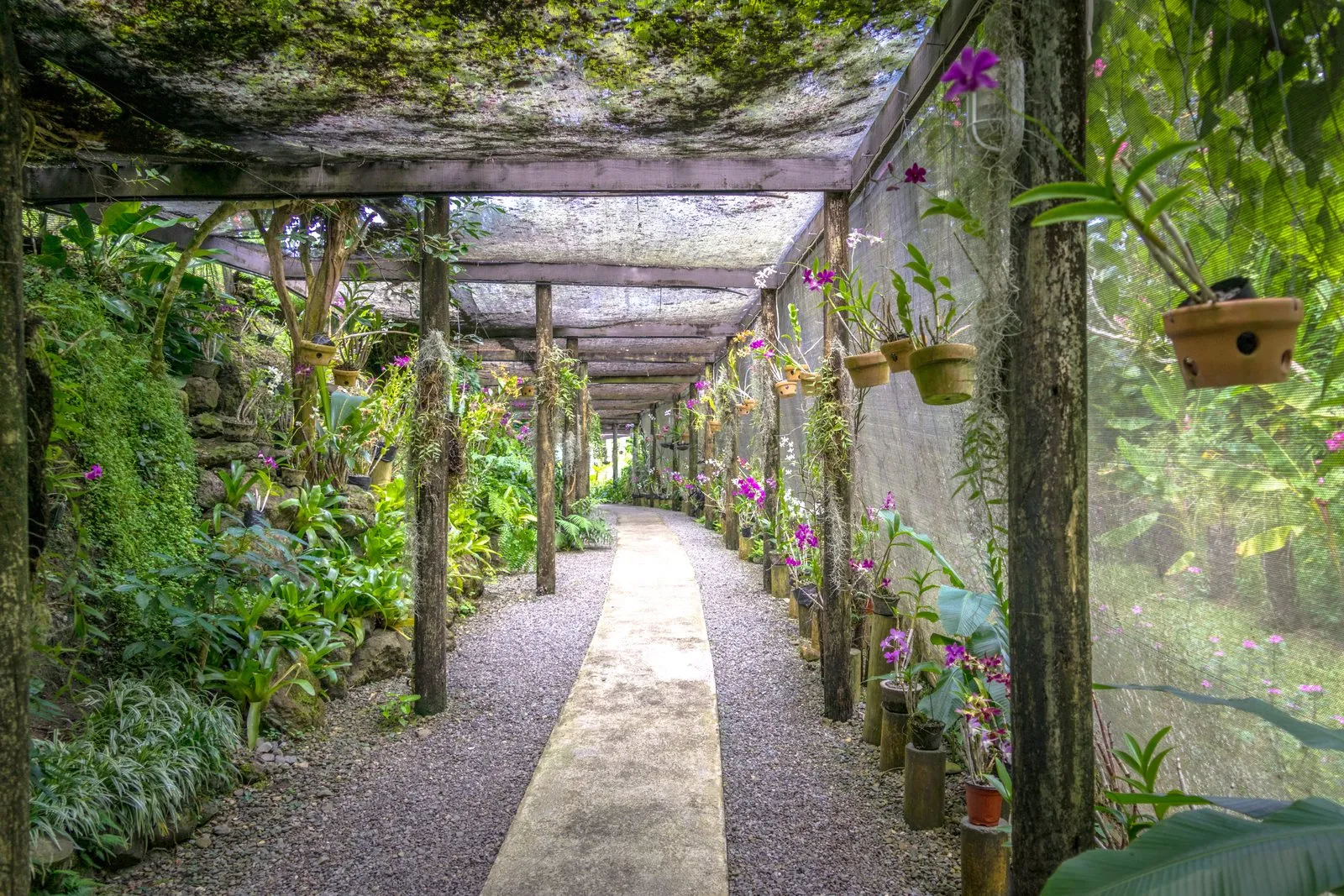 100% tropical, 0% stress!