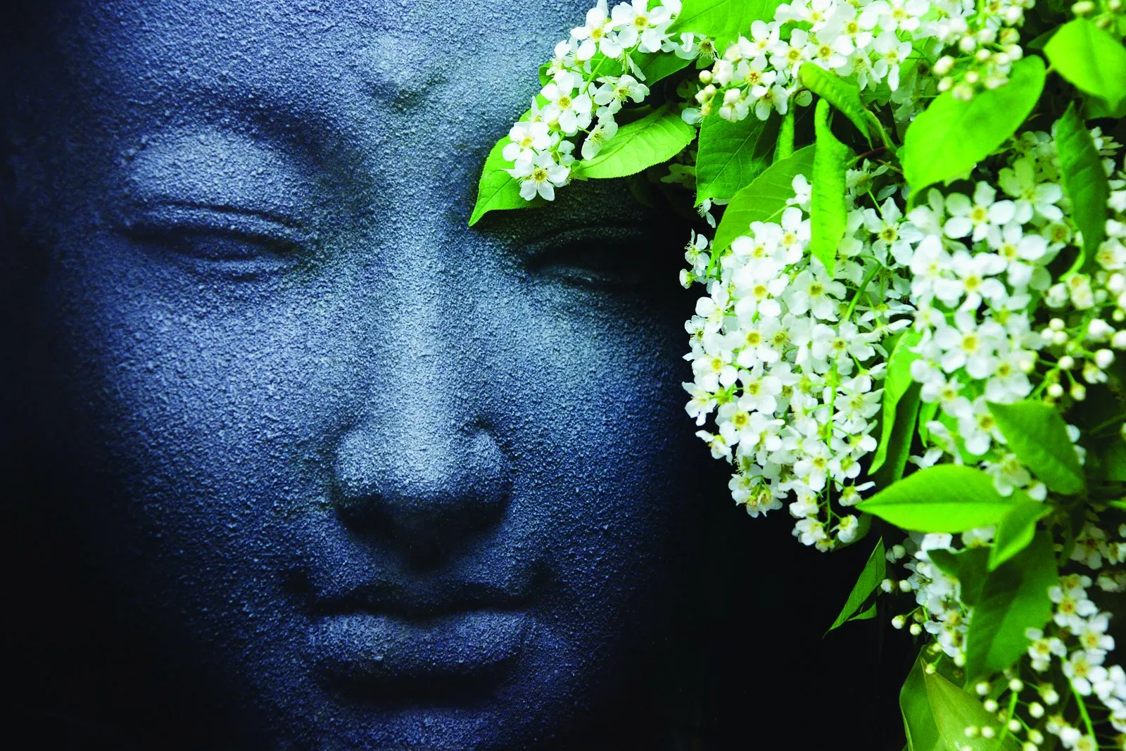 Compassion and the Indian man