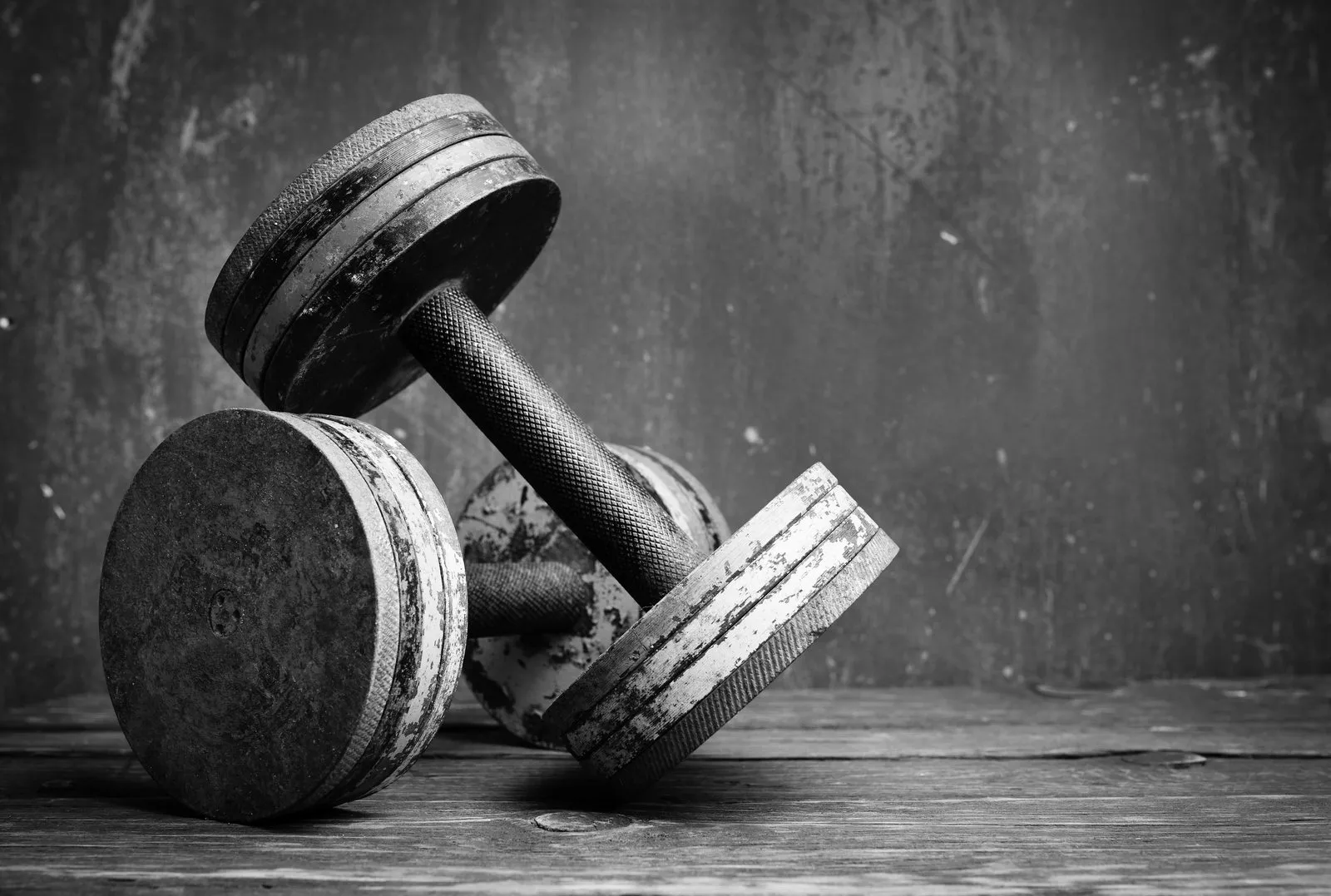 Muscle Without Meat
