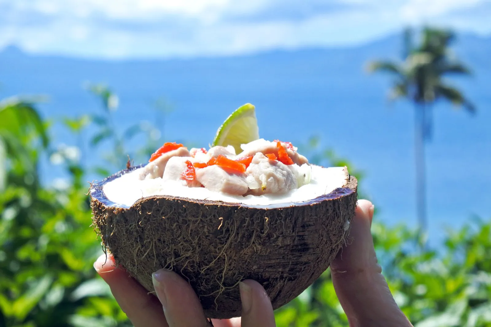 100% tropical, 0% stress!