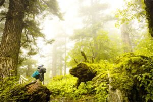 Uttarakhand