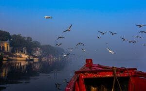 delhi