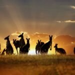 The Land Down Under – Facts About Australia