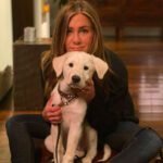 Jennifer Aniston Opens Up About Her Hidden Passion For Interior Design