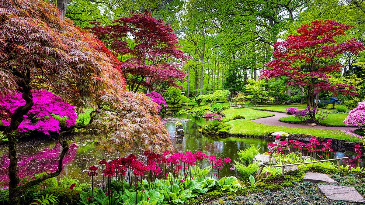 How to Make Techy Smart Gardens