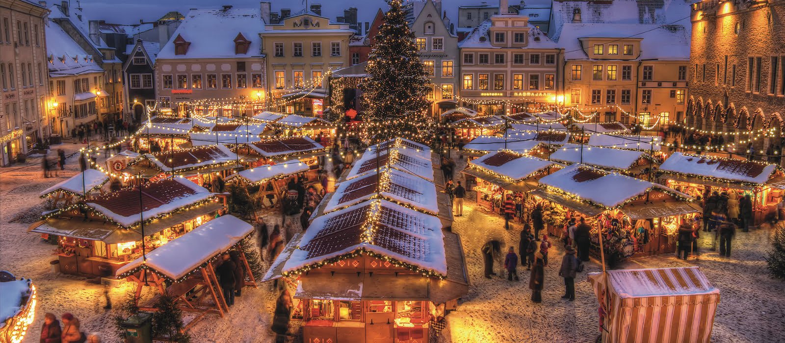 Christmas Tree Was Founded in This Country…