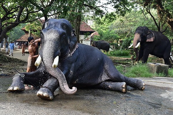 Kerala