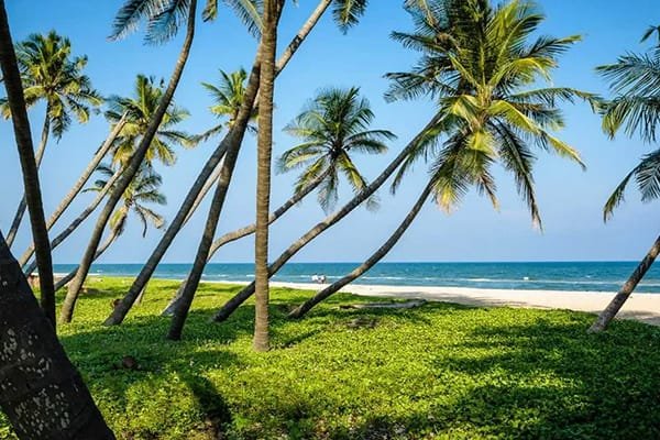 Five Pleasant Indian Places You Can Visit To Stay Away From Delhi Winters Travel