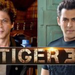 SRK Set To Make An Appearance In Salman Khan's Tiger 3