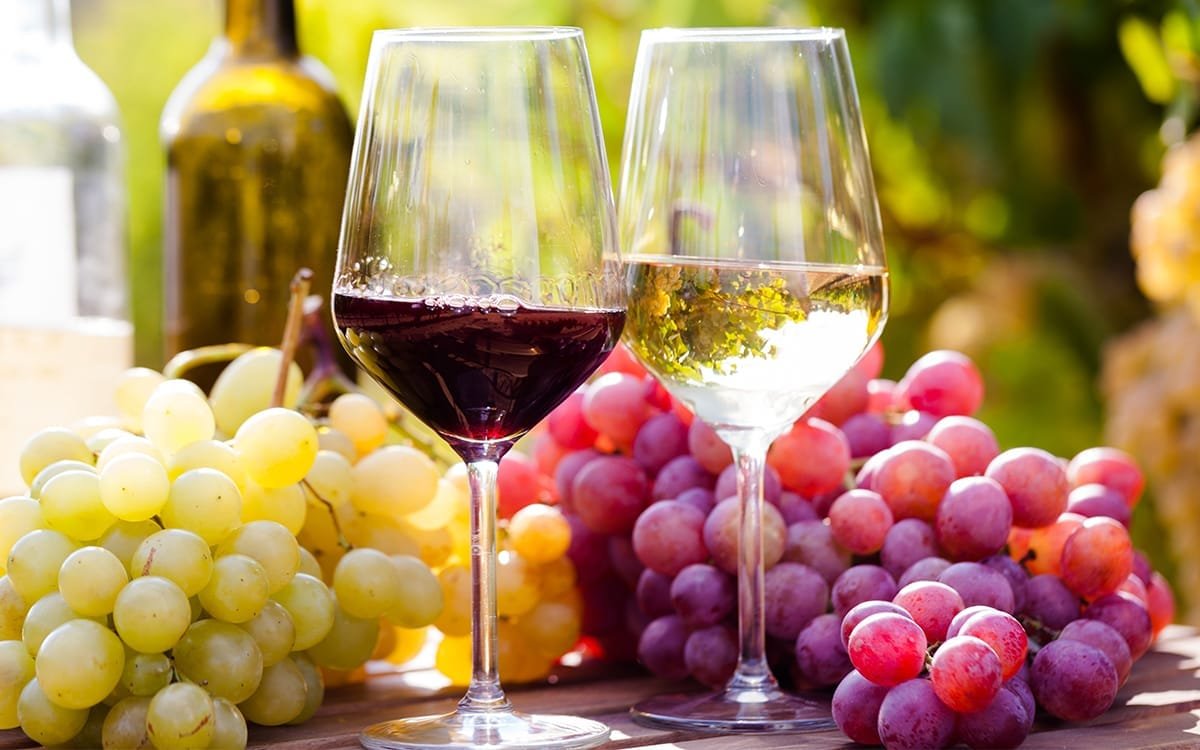 The Quintessential Wine and Food Pairing Guide Everyone Should Know
