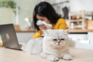 cats