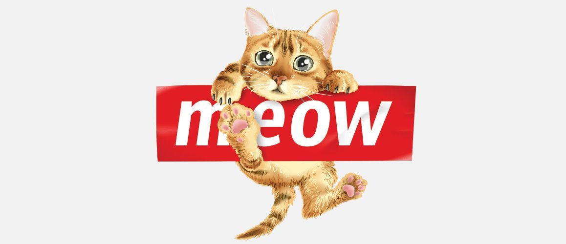 Five Myths And Facts About Pet Cats