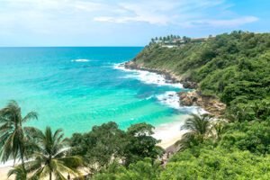 Paradisical for Beach Lovers