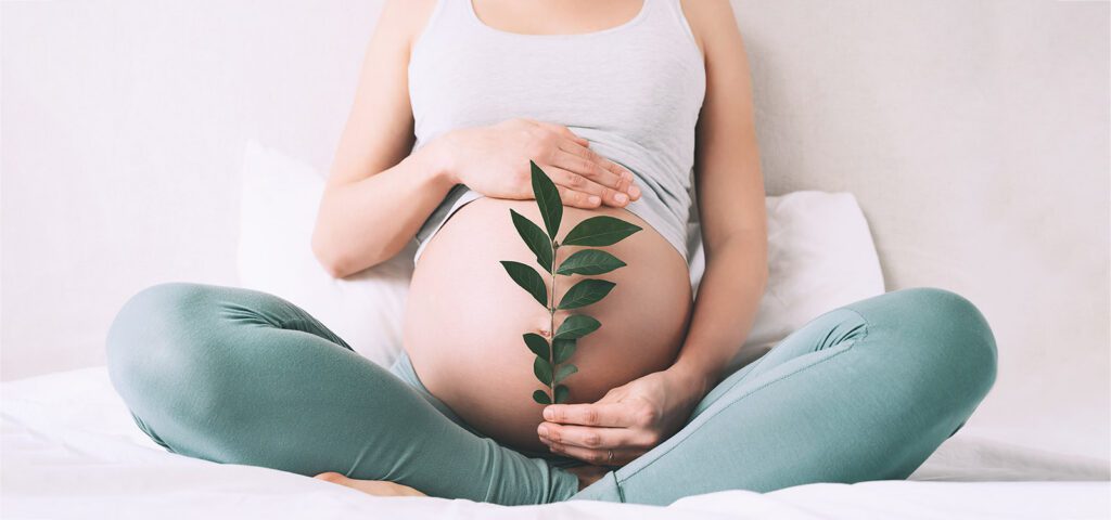 pregnancy