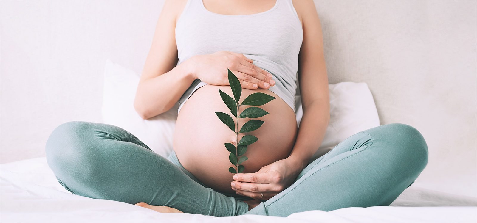 Planning for Pregnancy? Before Conceiving, Train your Body with these Routine
